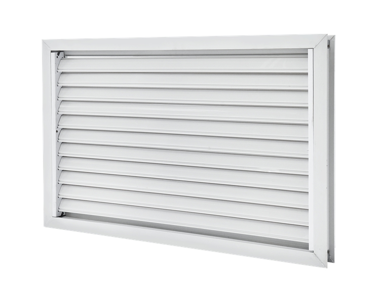 ��-��Ҷ����01