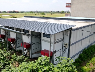 �����ź��ڷ��ܼ����۵��俾�̷�����Ҷ�濾���ƻ����е㡰��������